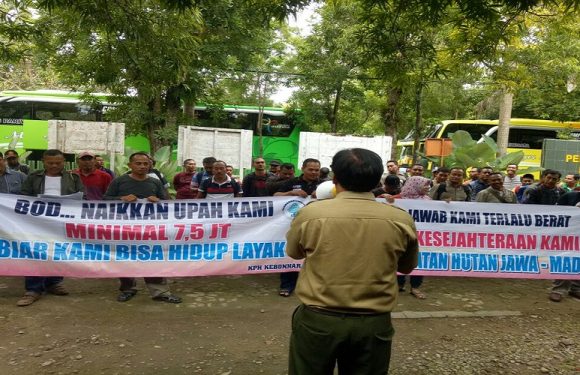 Pegawai Perhutani Demo Ke Jakarta, Ini Tuntutannya