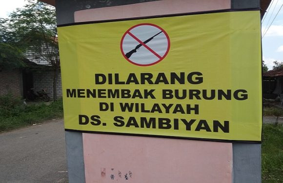 Sisi Lain Larangan Menembak Burung, Tak Sekedar Jaga Populasi
