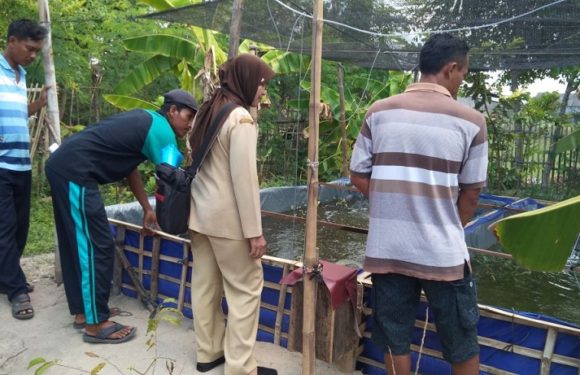 Petugas Balai Karantina Turun Ke Rembang, Masalah Ini Yang Bikin Cemas