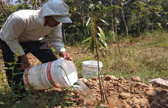 “Kenekatan” Petani Ini Berawal Dari Youtube, Mendobrak Kebiasaan