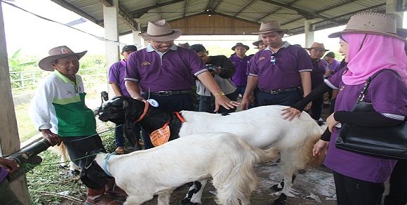 Janda Masih Banyak, Jenis Bantuan Ini Yang Diharapkan Untuk Pemberdayaan
