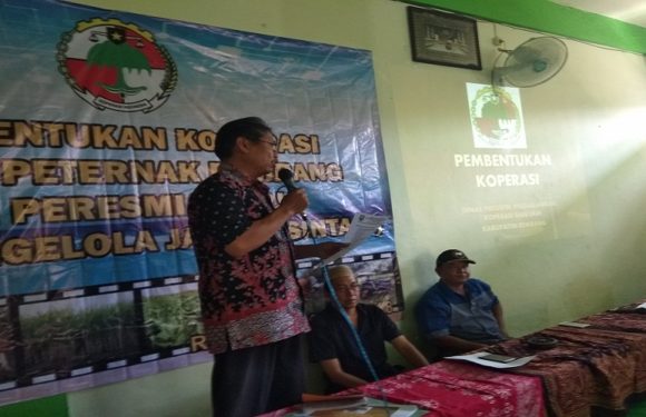 Petani Dan Peternak Bentuk Koperasi, Sejumlah Usaha Dibidik