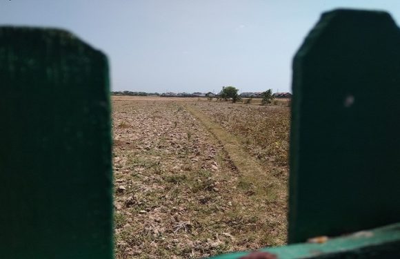 Keluhan Pengeringan Lahan, Pemkab Rembang Lontarkan Alasan Penolakan