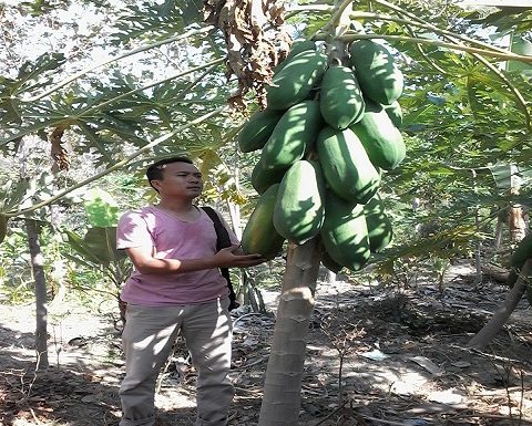 Desa Waru Siapkan 1,2 Hektar Untuk Agrowisata, Muncul Usulan Lain