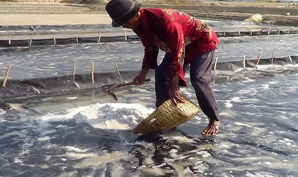 Investor Garam Siap Masuk, Bupati Ungkap Keunggulannya