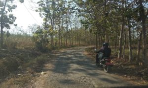Pengendara sepeda motor melintasi ruas jalan antar desa di Kecamatan Sumber yang kondisinya rusak berat. 