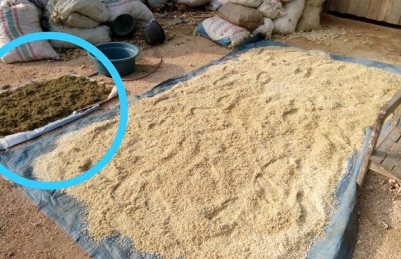Tak Perlu Ngarit, Warga Punya Cara Baru Untuk Memberikan Pakan Ternak