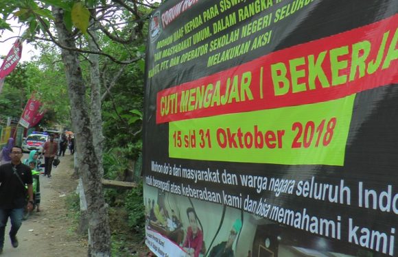 Begini Respon Bupati, Ketika Mendengar Guru Honorer Mogok Mengajar