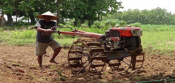 Kaum Milenial Enggan Jadi Petani, Begini Resikonya