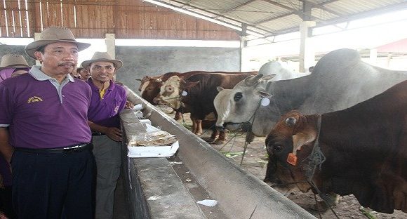 Bupati Rembang Punya Profesi Lain, Bocorkan Strategi Meramu