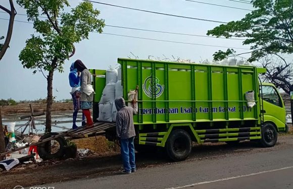 Ada Yang beda, Harga Garam Memasuki Musim Penghujan