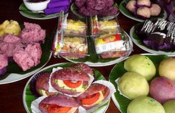 Glintung Dan Republik Telo Yang Menginspirasi, KWT Rembang Intip Rahasianya