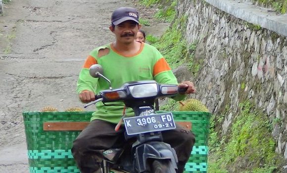 Apa Kabar Durian Criwik, Pihak Desa Ungkapkan Kondisinya Yang Bikin Ngelus Dada