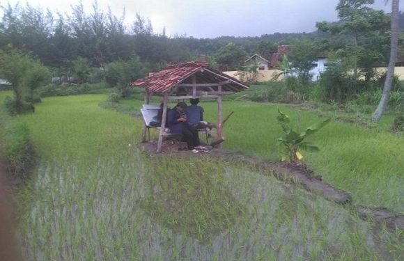Padukan Alam Dengan Lukisan, Hasil Lelang Karya Disumbangkan