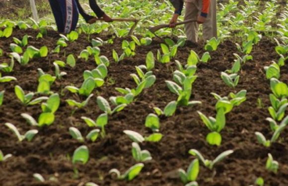 Diselimuti Kekhawatiran, Siapkan Jurus Antisipasi