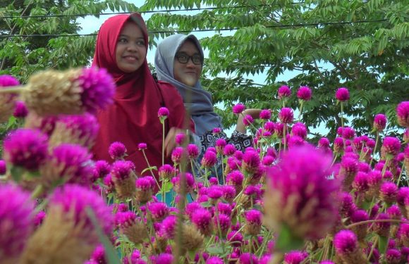 Atasi Bunga Rusak, Begini Cara Pengelola THS Padaran