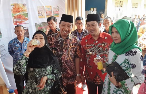 Ini Yang Paling Dikhawatirkan, Jika Semua Desa Terjebak Garap Pariwisata