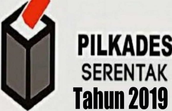 Jelang Pilkades Serentak, Masalah Susu Ramai Jadi Sorotan