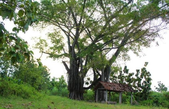 Arti Suro Bagi Masyarakat Sekararum, Eksodus Besar-Besaran Karena Bencana