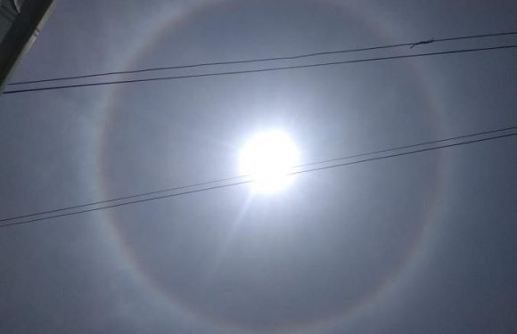 Fenomena Cincin Matahari Sedot Perhatian, Begini Penjelasan BMKG