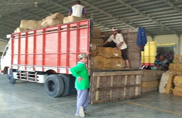 Bupati Sebut Perputaran Uang Tembakau, Petani Ungkap Kendala Yang Dihadapi