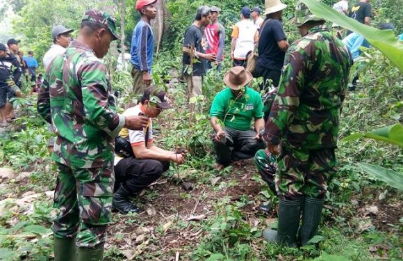 Terancam Punah, Ingin Kembalikan Predikat Pusat Buah