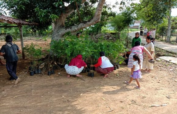 Dusun Terpencil : Demi Ngotoko Berdaya, 3 Potensi Keren Digarap