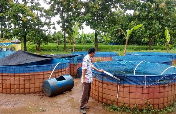 Yukk Diintip, Bagaimana Inovasi Yang Digulirkan MBS Gunem