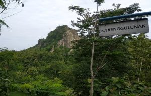Lokasi perbukitan Desa Trenggulunan Kecamatan Pancur, yang akan dibangun embung berskala besar.