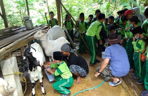 Jarang Mendengar Anak-Anak Ingin Jadi Peternak, Ratusan Siswa Diajak Ke Lokasi Ini