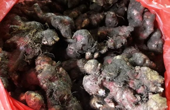 Duh Gusti….Lonjakannya Ngeri Sekali