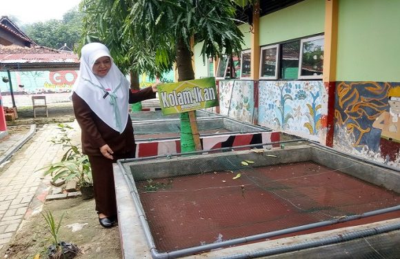 Tak Disangka, Air Bak Kolam Ikan Disuplai Dari Bekas Air Wudhlu