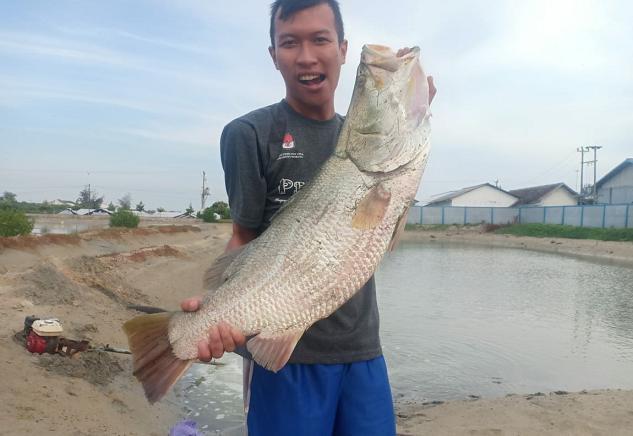 Ikan Cukil, Antara Bikin Resah Dan Berkah – Radio R2B Rembang