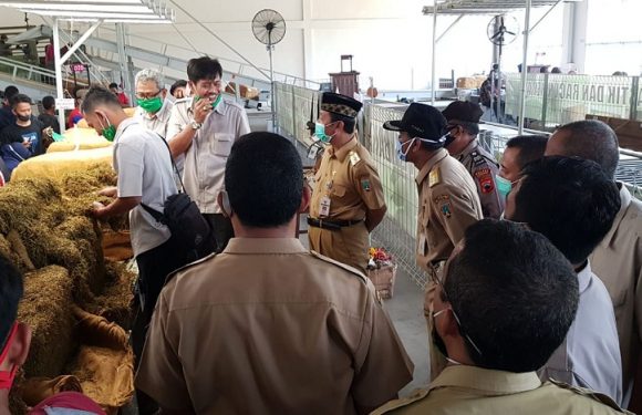 Tembakau Marem 1 Dan Marem 2 Tercampur, Benarkah Tidak Dibeli Pihak Sadana ?