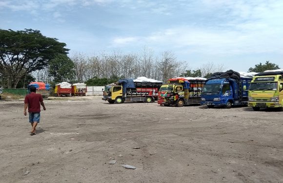 Ingin Tahu Daerah Mana Saja Yang Sudah Panen Padi, Lokasi Ini Bisa Menjadi Pathokan