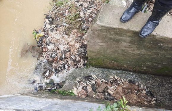 Tindakan Oknum Ini Sungguh Menjijikkan, Langsung Dikecam Warga. Polisi pun Sampai Cek Lokasi