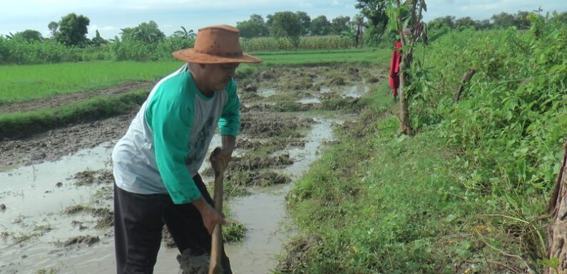 Karena Alasan Ini, Ketua DPRD Rembang Tetap Bertani Dan Menolak Menempati Rumah Dinas