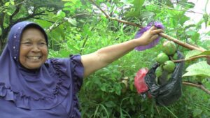 Sri Haryati yang tinggal sendirian di perbatasan Kabupaten Rembang dan Blora, menunjukkan tanaman jambu di depan rumahnya.