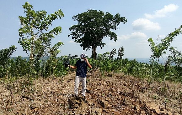 Pohon Unik Yang Jadi Acuan Nelayan, Butuh 12 Orang Dewasa Untuk Mengitarinya