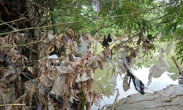 Bukan Sampah Sungai Bagan Lasem Penyebab Rembang Gagal Raih Adipura, Tapi Ternyata Karena Masalah Ini