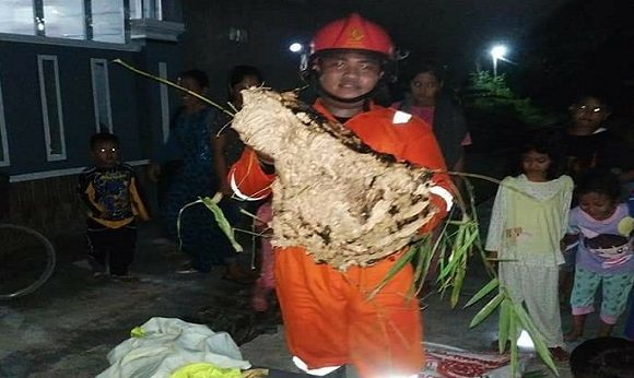 “Genap Berusia 2 Tahun, Kami Ingin Terus Berbakti…”