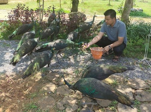 Punya Keunikan, Ngulahan Park Terus Bergerak