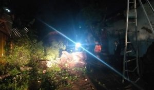 Pohon tumbang di Desa Tasikagung.