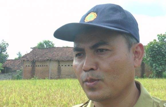 Atasi Penyebaran PMK, Pemkab Rembang Tunggu Jatah Kuota!! 44 Orang Siap Dikerahkan