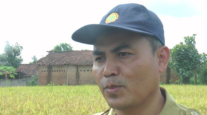 Atasi Penyebaran PMK, Pemkab Rembang Tunggu Jatah Kuota!! 44 Orang Siap Dikerahkan