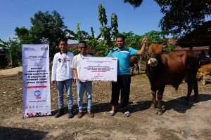 Penyerahan sapi qurban kepada pihak Desa Kajar Kecamatan Gunem. (Foto atas) Penyerahan sapi untuk pondok pesantren Raudlotut Thalibin Leteh, Rembang.