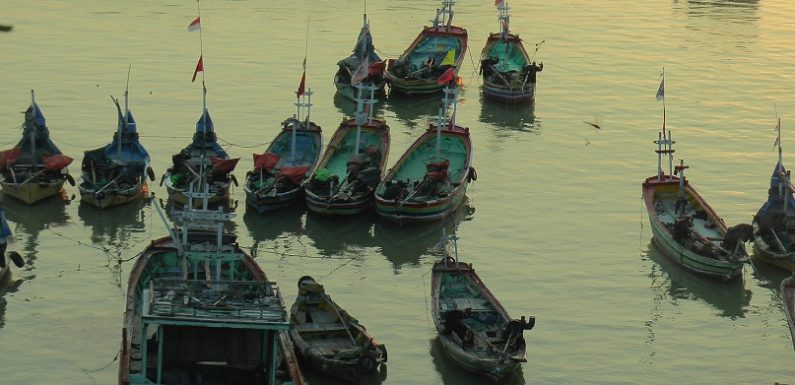 Dua Alasan Ini Membuat Nelayan Pencari Rajungan Enggan Melaut, Pengepul Ikut Rasakan Perbedaan Mencolok