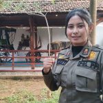 Whenny Tria Purnamasari, salah satu anggota Satpol PP wanita di Kabupaten Rembang.