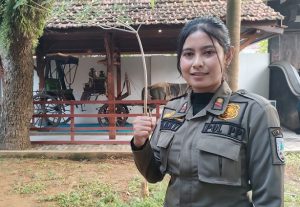 Whenny Tria Purnamasari, salah satu anggota Satpol PP wanita di Kabupaten Rembang.