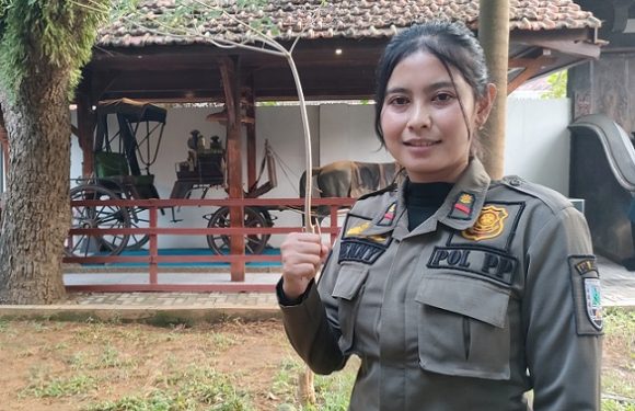 Kisah Satpol PP Wanita Di Rembang, Lakukan Penertiban PKL Dengan Hati